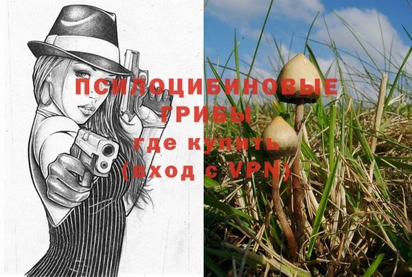 экстази Алексин