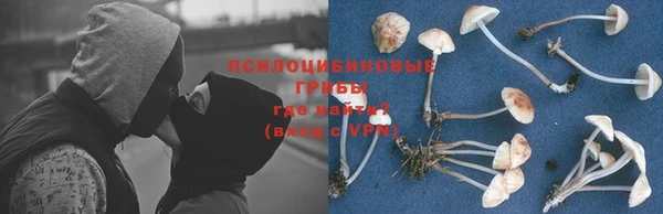 соль ск Лагань